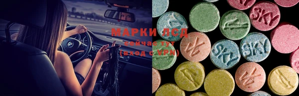 ГАЛЛЮЦИНОГЕННЫЕ ГРИБЫ Краснослободск
