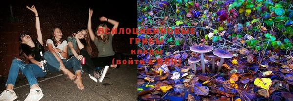 ГАЛЛЮЦИНОГЕННЫЕ ГРИБЫ Краснослободск