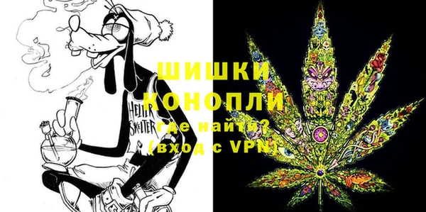 ГАЛЛЮЦИНОГЕННЫЕ ГРИБЫ Краснослободск