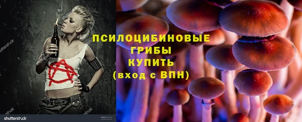 ГАЛЛЮЦИНОГЕННЫЕ ГРИБЫ Краснослободск