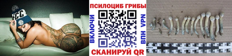 Купить закладки  Зуевка  Псилоцибиновые грибы Magic Shrooms 