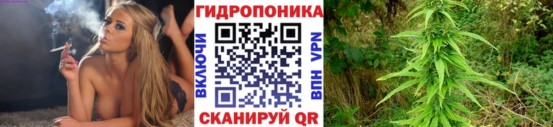 Купить закладки  Зуевка  Канабис LSD WEED 